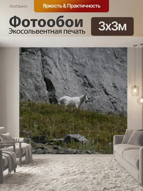 Фотообои Национальный парк ледника