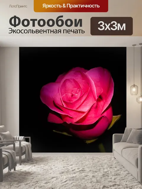 Фотообои Роза