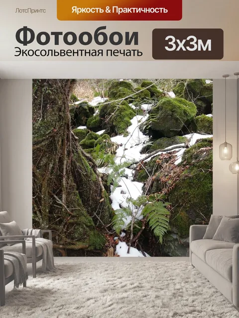 Фотообои Мох