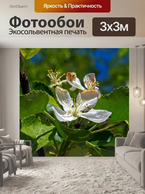 Фотообои Яблоневый цвет в озаркс