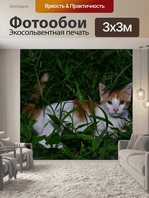Фотообои Кот