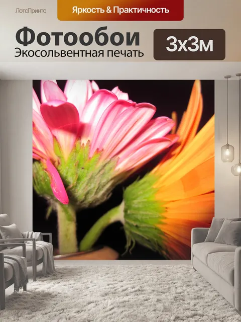 Фотообои За два Цветы