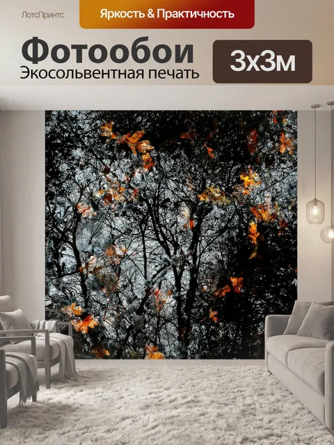 Фотообои Отражение