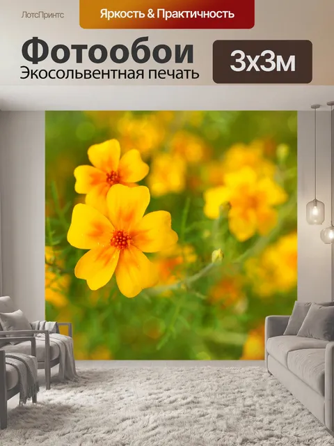 Фотообои Цветут цветы садовые цветы