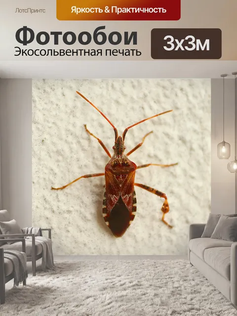 Фотообои Журнал черепашка