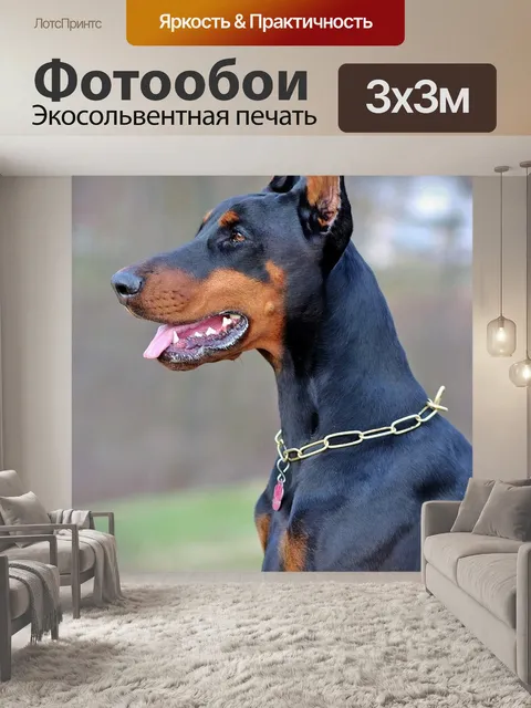 Фотообои Доберман