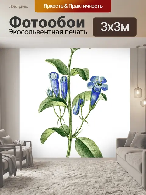Фотообои Клипарт Flowers art vintage