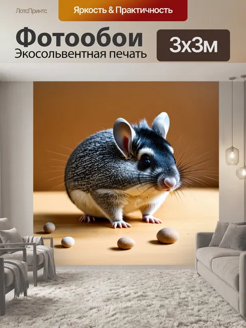 Фотообои шиншилла, играющая с маленькими предметами на деревянной поверхности, әсжая к её яркому меху
