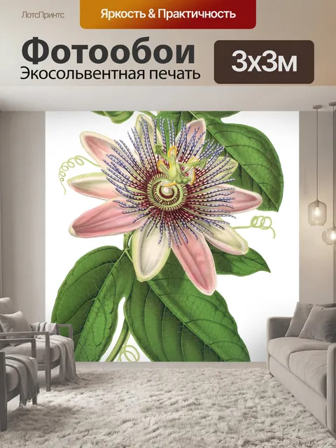 Фотообои Цветок пассифлоры винтажное искусство
