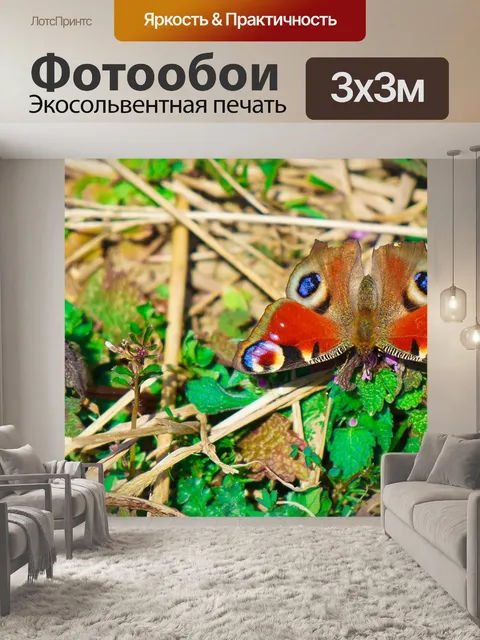 Фотообои Бабочка