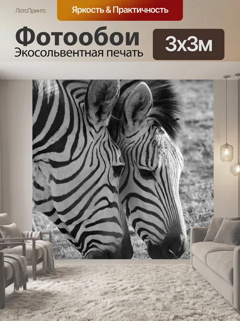 Фотообои Зебра