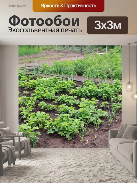 Фотообои Дача