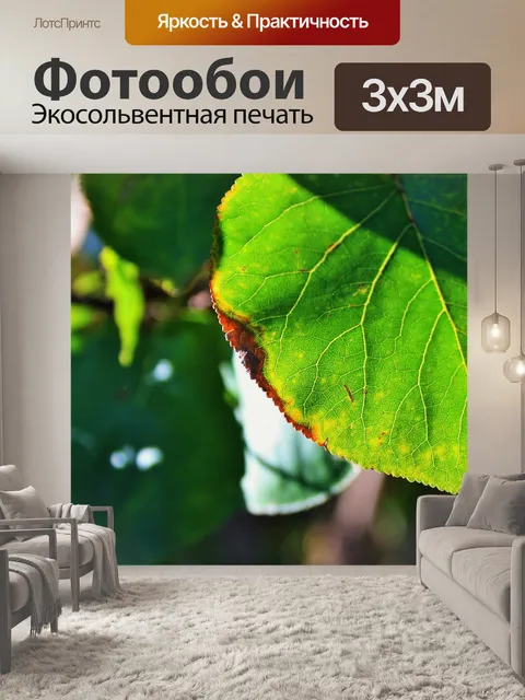 Фотообои сушат края листьев