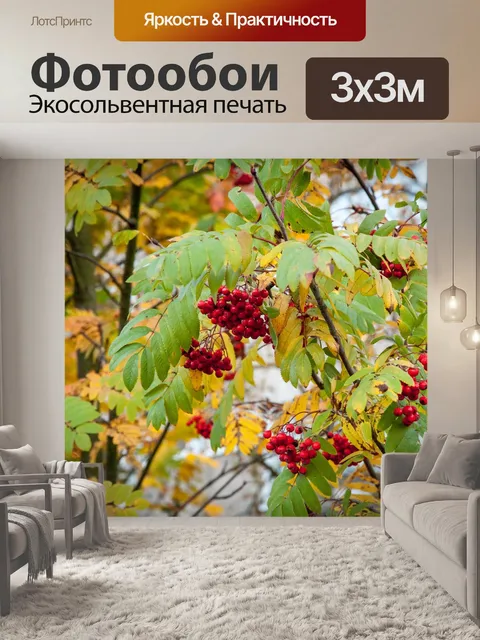 Фотообои Рябина