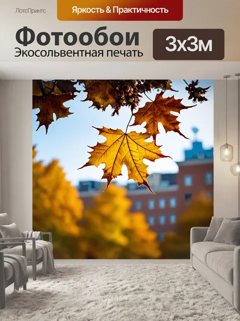 Фотообои красивый крупный план природного элемента