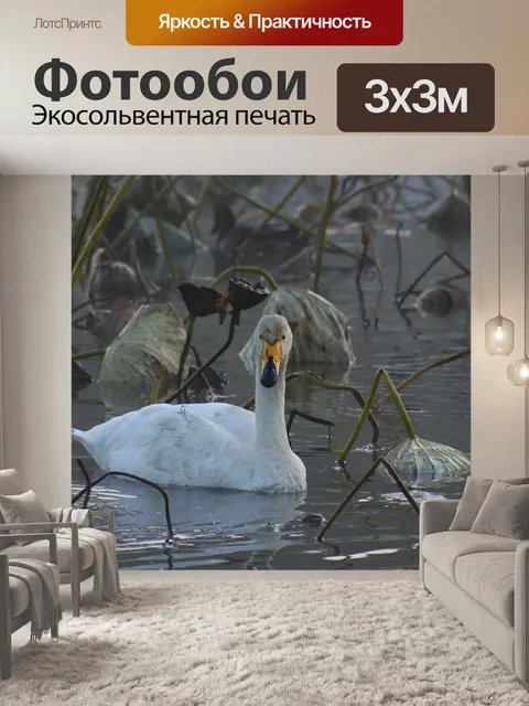 Фотообои Животное