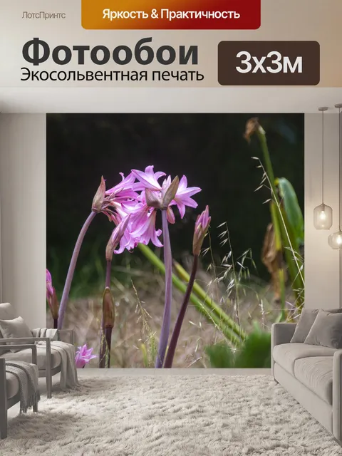 Фотообои цветы лилии