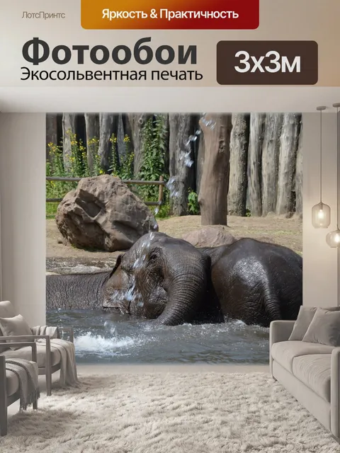 Фотообои В ванне со слонами 2.1