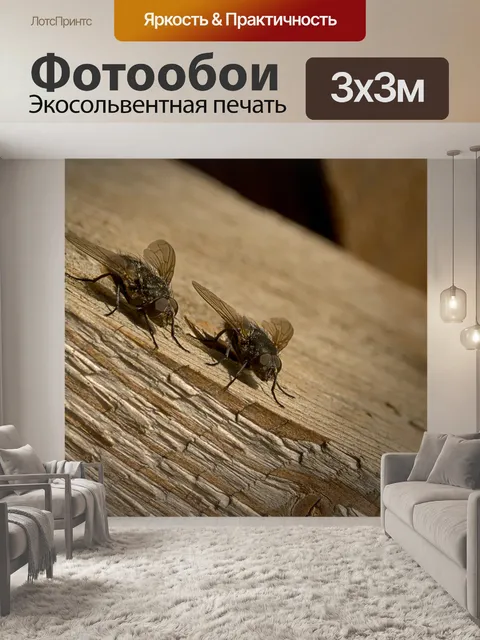 Фотообои Летать