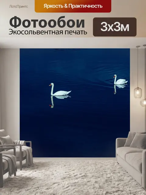 Фотообои Лебеди
