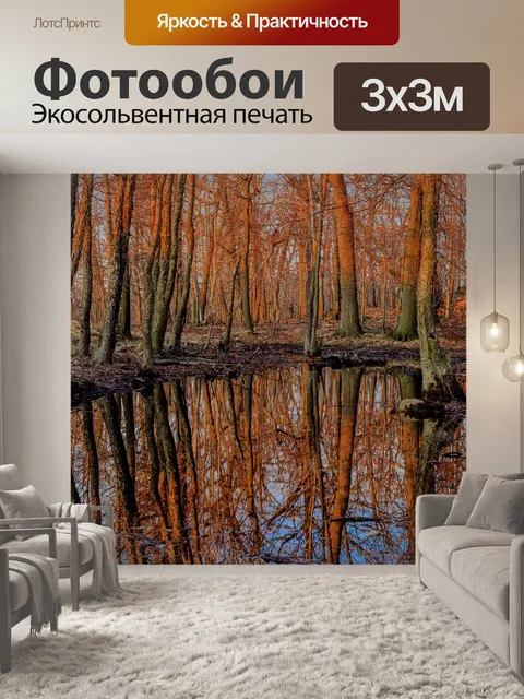 Фотообои Лес
