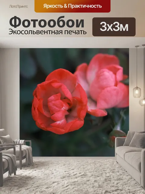 Фотообои Мой