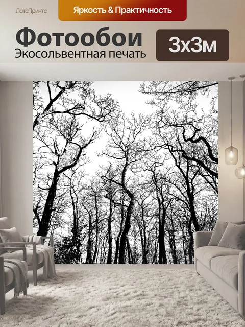 Фотообои Прозрачный фон