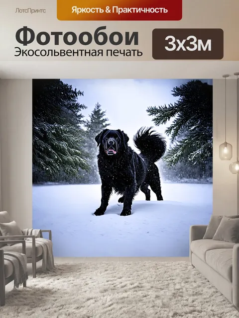 Фотообои черный ньюфаундленд играет в снегу среди метели, прыгая и виляя хвостом