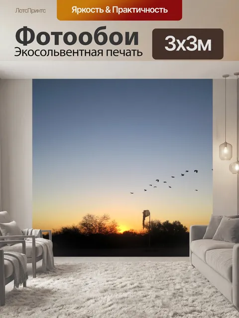 Фотообои Стая птиц на закате