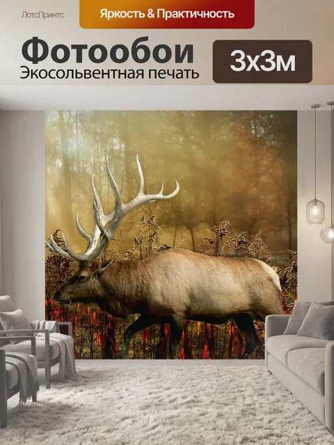 Фотообои Лось