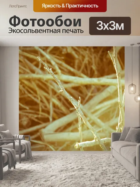Фотообои Дерево