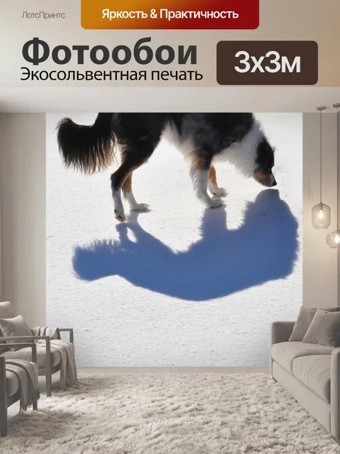 Фотообои Собака