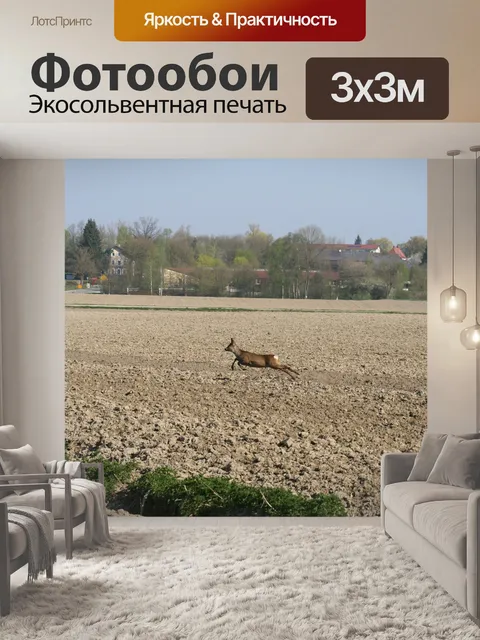 Фотообои Косуля