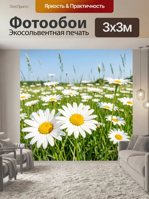 Фотообои Ромашковое поле под синим небом