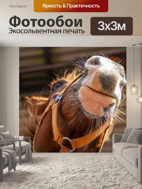 Фотообои Лошадь