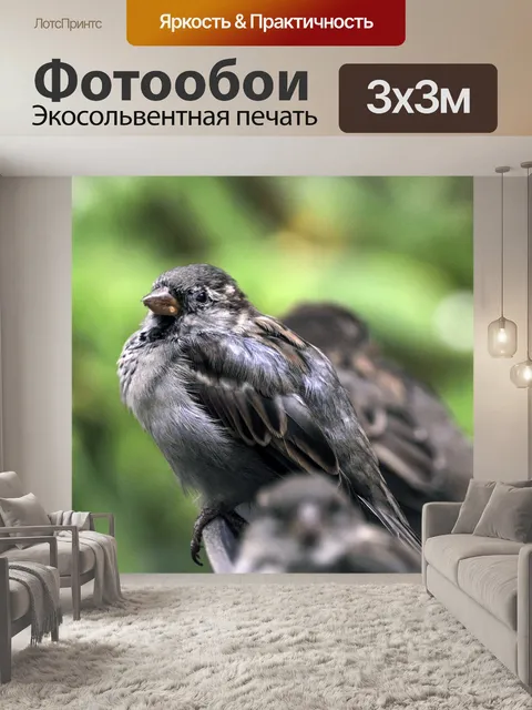 Фотообои Воробей