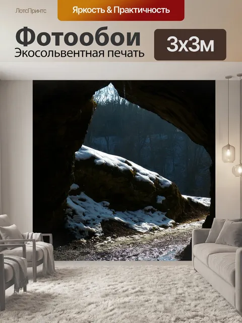 Фотообои Птица плита пещера