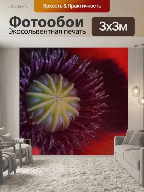 Фотообои Закройте вид изнутри открытого мака