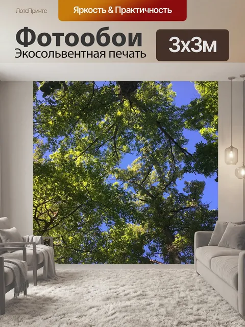 Фотообои Небо