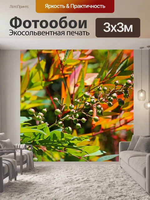 Фотообои семена зеленых ягод на священном бамбуке