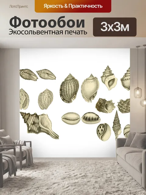 Фотообои Ракушки Морская Ракушка Клипарт Винтаж