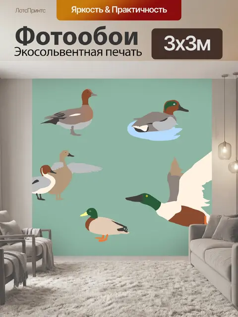 Фотообои Ducks