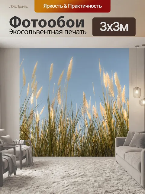 Фотообои Камыши