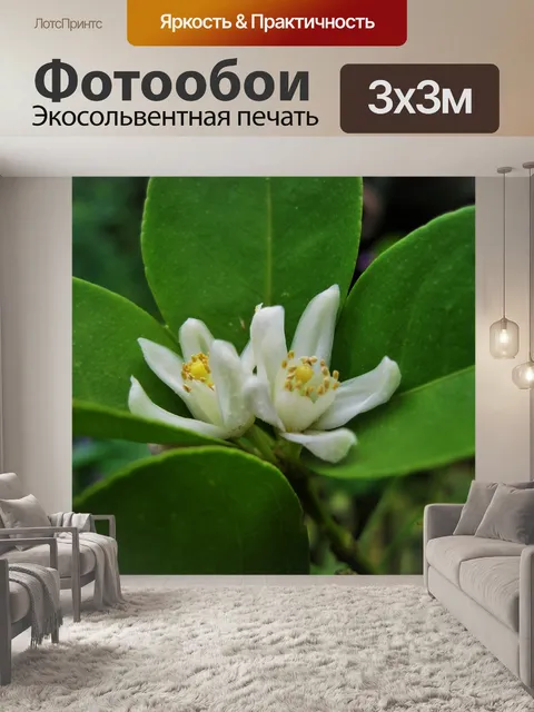 Фотообои декоративные оранжевые цветы