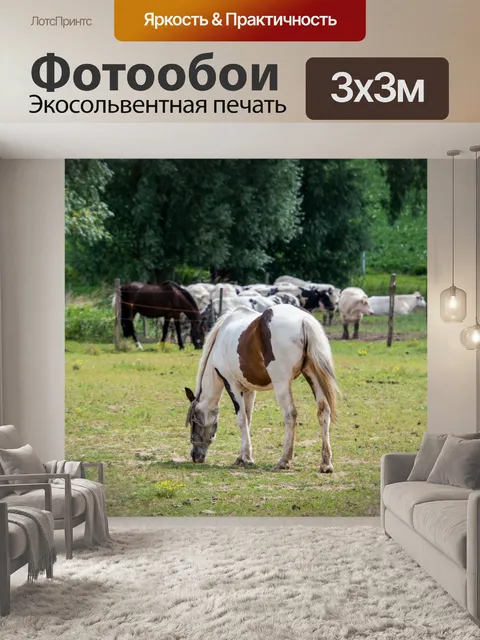 Фотообои Пейзаж, луг, лошади