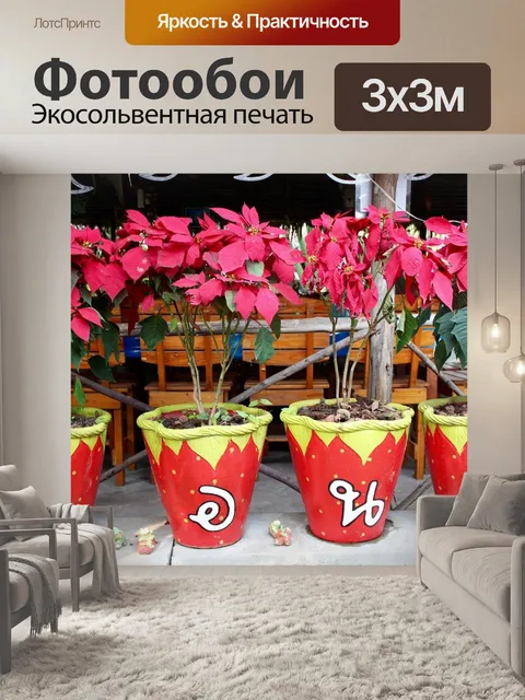 Фотообои Горшок для растений