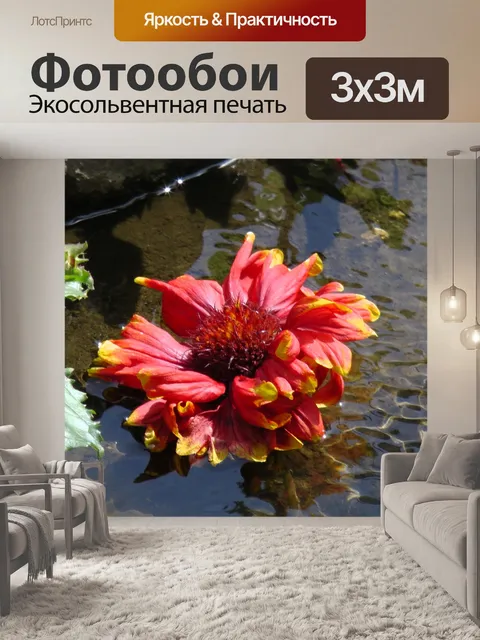 Фотообои Оранжевый цветок в Крик