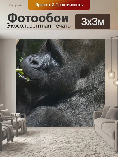 Фотообои горилла