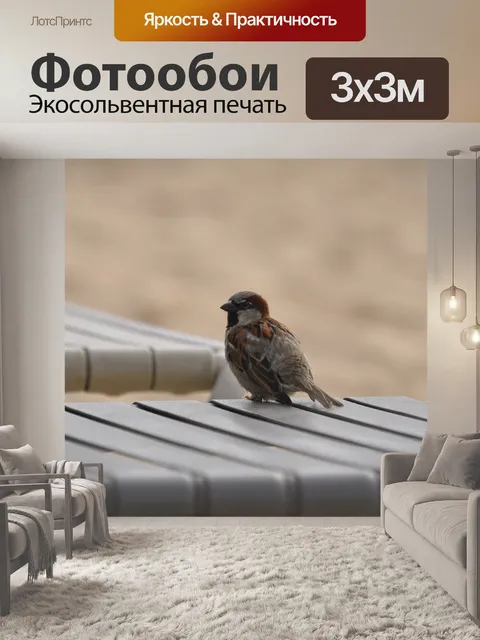 Фотообои Птица