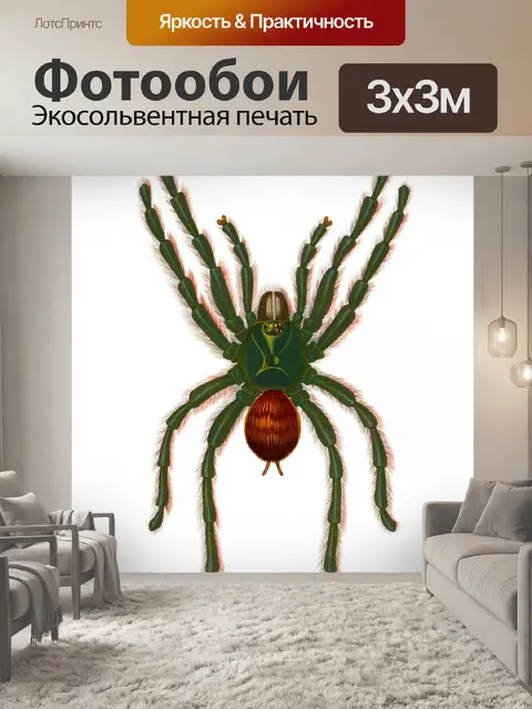 Фотообои Старинное искусство паука старое